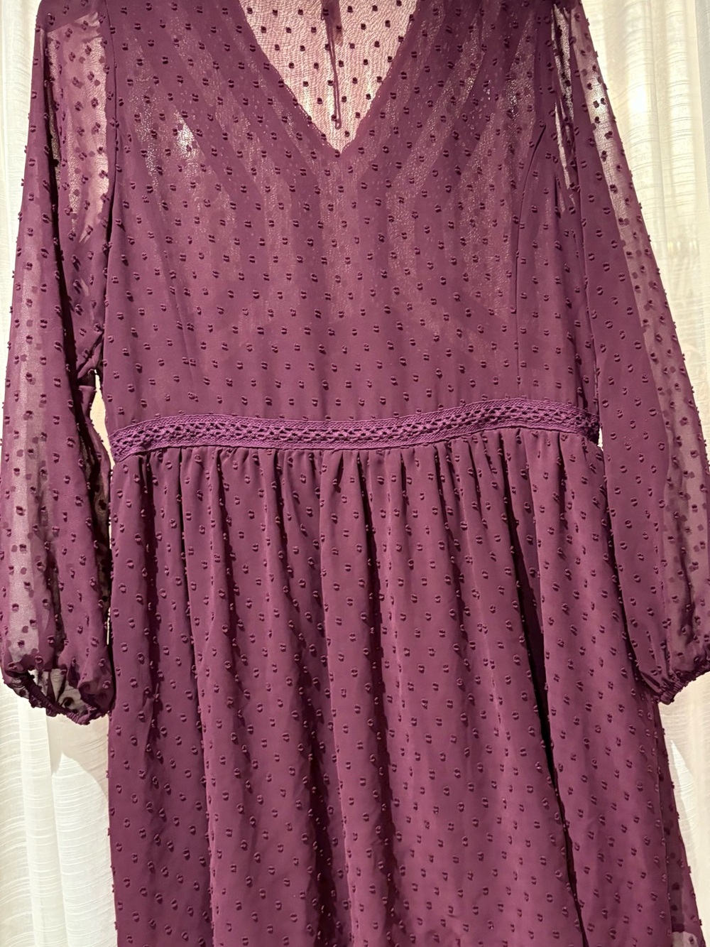 Matilda Jane Plum Sheer Swiss Dot V-Neck Dress